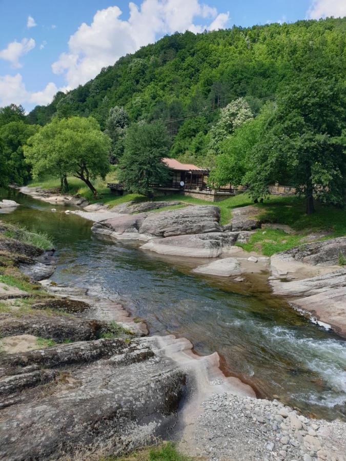 Kesta Za Gosti Fedor Vila Ribarica Exterior foto