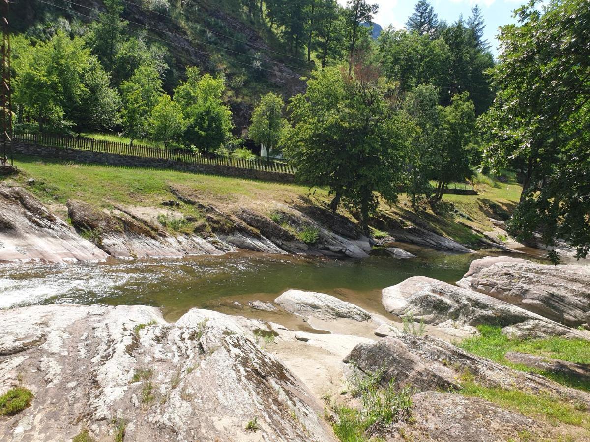 Kesta Za Gosti Fedor Vila Ribarica Exterior foto