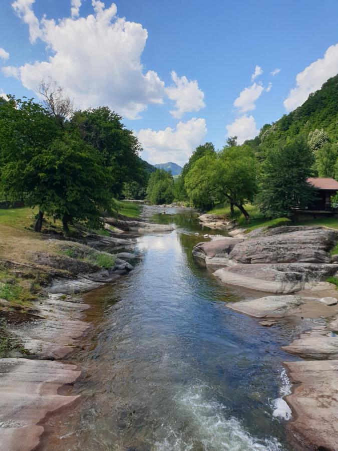 Kesta Za Gosti Fedor Vila Ribarica Exterior foto