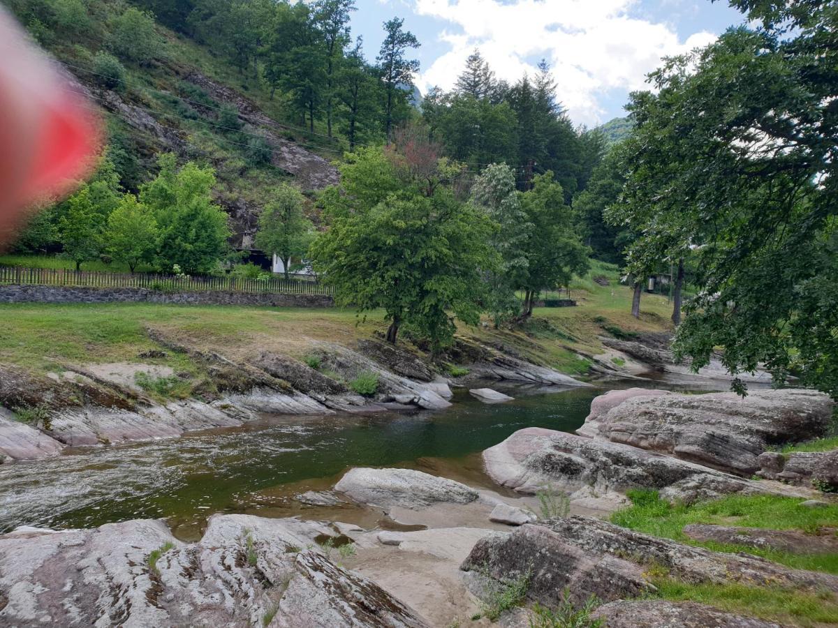 Kesta Za Gosti Fedor Vila Ribarica Exterior foto